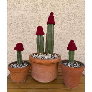 Rhubarb Red Chenille Knit Cactus Hat – Winter Frost Protection, with Foam Cup
